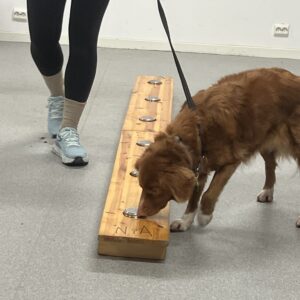 Test av Helgekurs