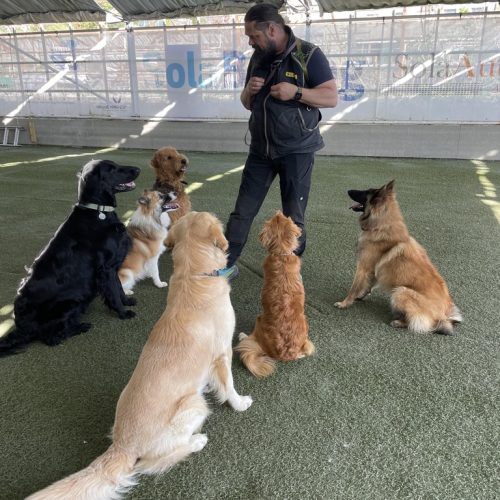 1E96CDCA-75FA-4DB5-A325-E3AF1402EB50_1_105_c