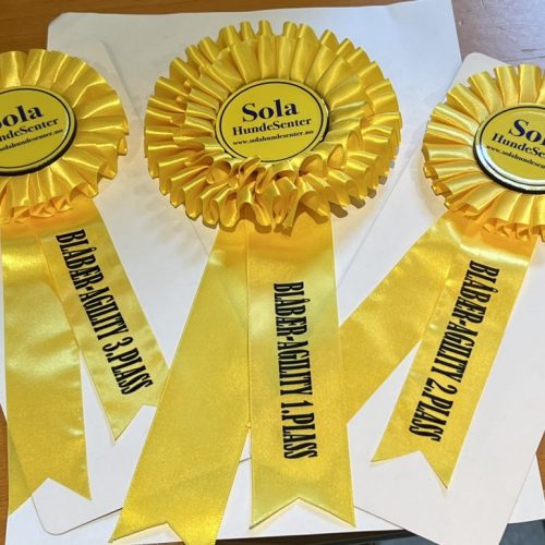 49D7ADD3-104E-44DD-84A0-1CBAD962BAEE_1_105_c