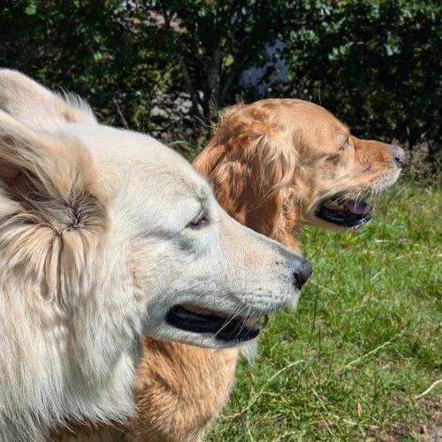 548898D0-2B84-4C9B-B742-185EF5DFB535_1_105_c