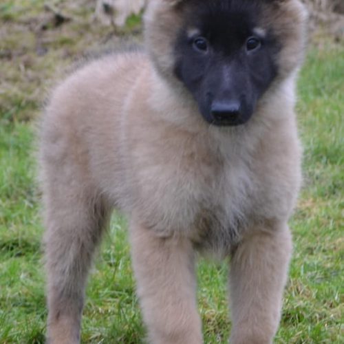 91575BB6-EBD9-4FDE-B54A-43F908AE6520_1_105_c