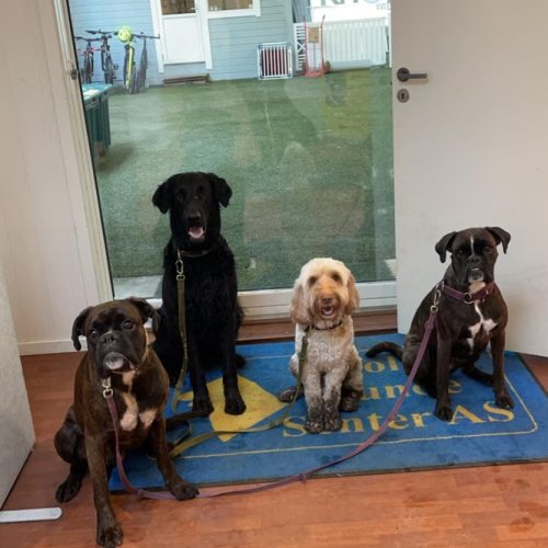 A1D681F3-9554-4A0C-95B2-DAFAE0FC0DF0_1_105_c