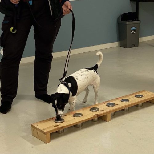 B5159A9E-7DD1-432E-8627-48D1DB3E1658_1_105_c