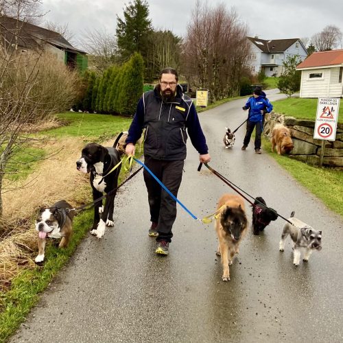 F45F854B-3EEC-436D-9B70-7DA50B3036B1_1_201_a