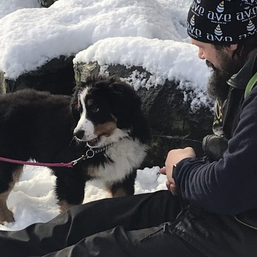 bilde 5 i bildeserie